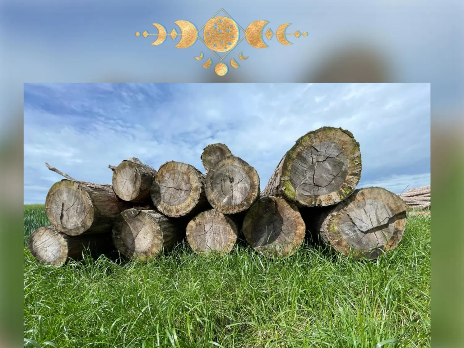Cafégarten Mondholz - Holzstapel mit Mondphasen-Grafik