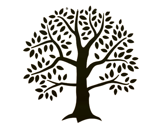 Baum