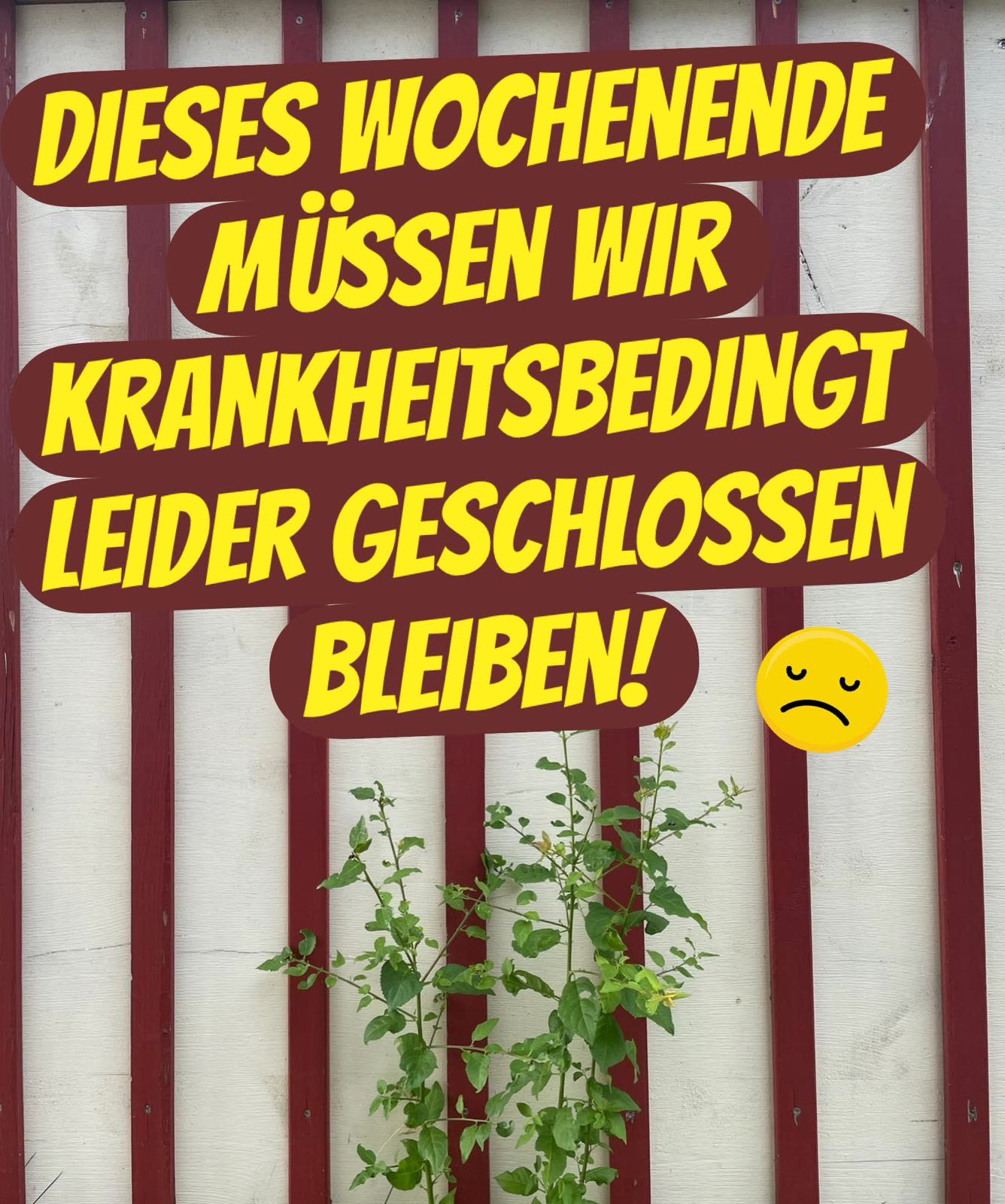 Cafégarten Mondholz - dieses Wochenende krankheitsbedingt geschlossen